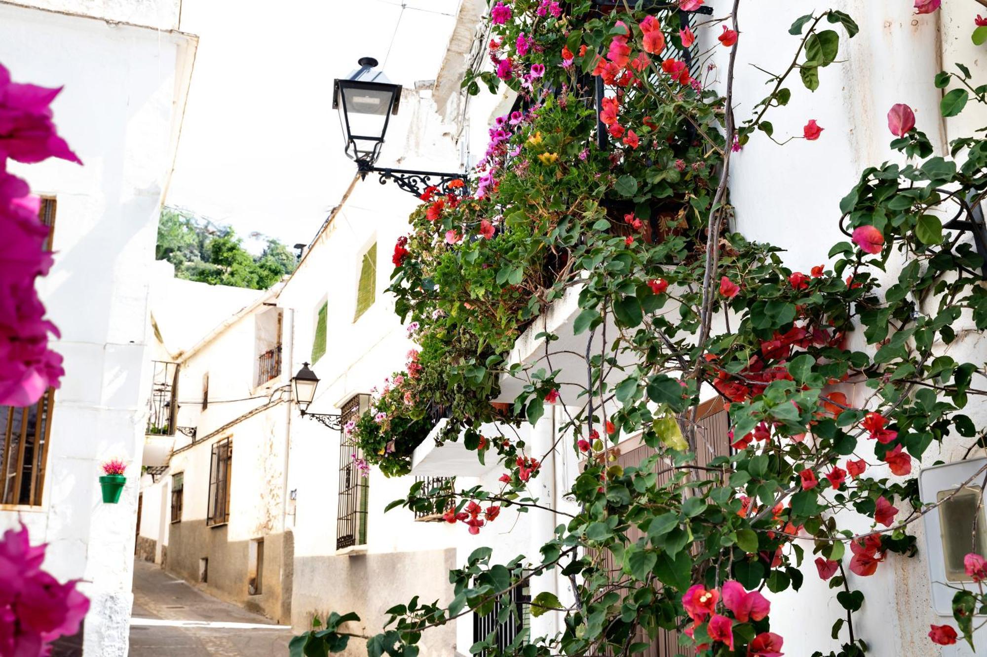 Apartamento Alpujarra Relax Carataunas Exterior foto